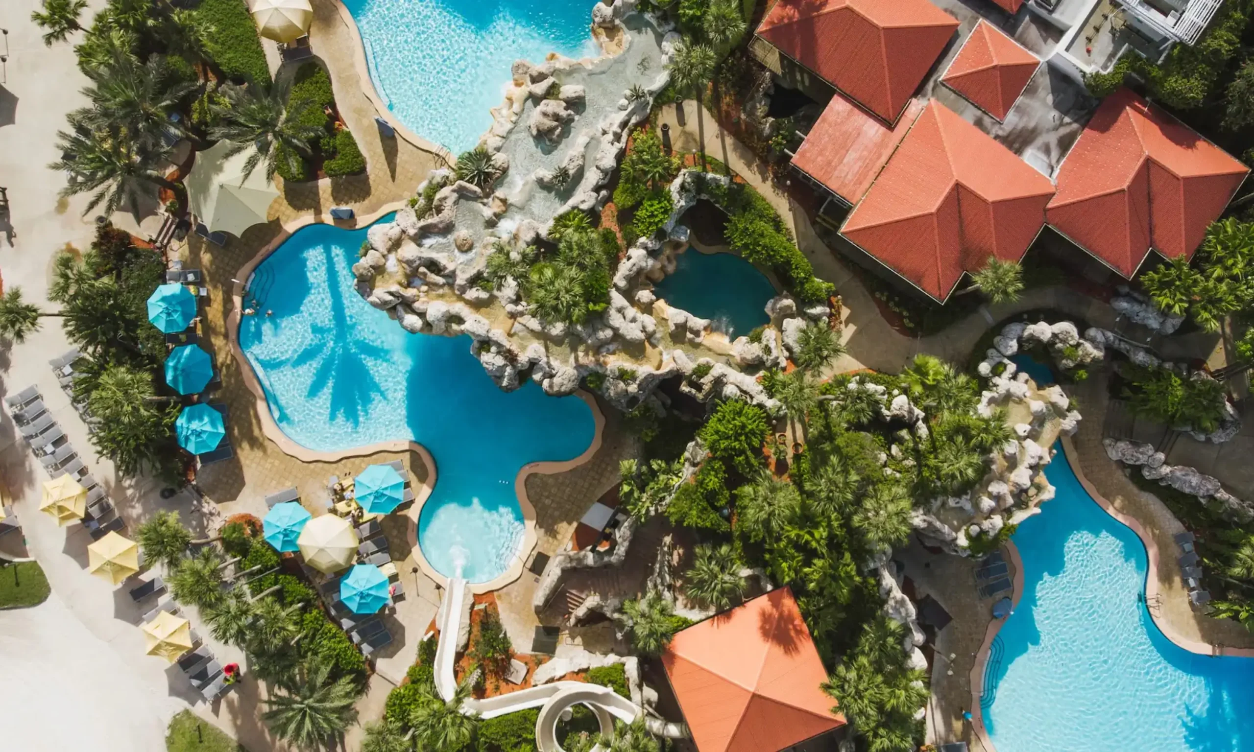Pool party - Hyatt Regency Grand Cypress